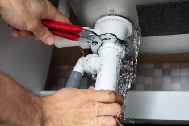 Best Flood damage cleanup  in Lemmon Valley, NV