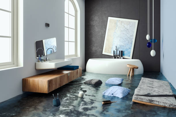 Best Ceiling water damage repair  in Lemmon Valley, NV