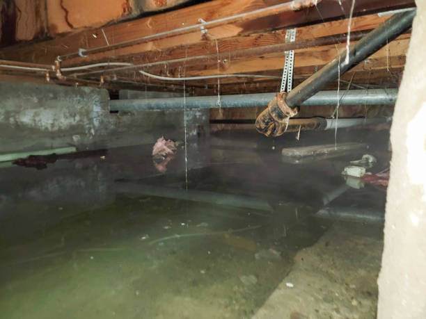  Lemmon Valley, NV Water damage restoration Pros