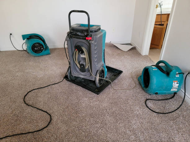 Best Water damage contractors near me  in Lemmon Valley, NV