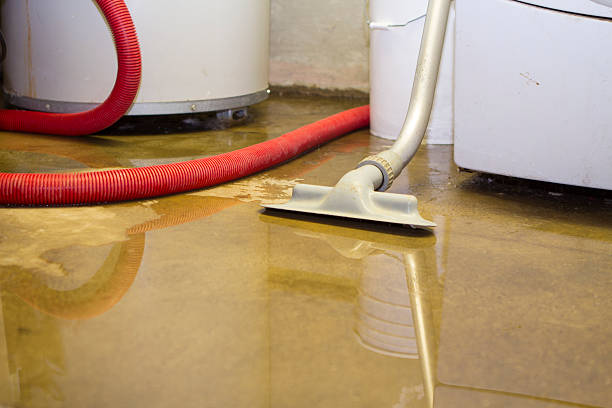 Best Flooded house restoration  in Lemmon Valley, NV
