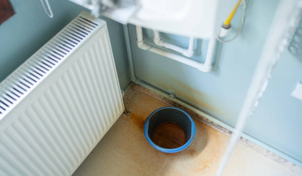 Best Fire Damage Restoration  in Lemmon Valley, NV