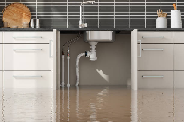 Trusted NV Water damage restoration Experts